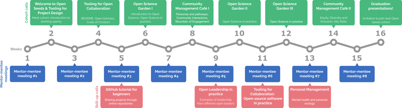 OLS schedule overview. In the middle, the timeline represents the 16 weeks. On the top, boxes in green represent the 8 different cohort calls pointing to the corresponding weeks (even week numbers). Below the week timeline, blue boxes represent the mentor-mentee meetings pointing to the uneven number weeks. Below the blue boxes, are red boxes corresponding to 3 skill-up calls: "GitHub tutorial for beginners" (week 5), "Open Leadership: Academia, industry, and beyond" (week 9), "Self-care & social call" (week 1s)